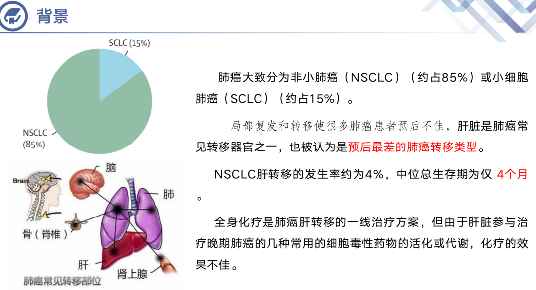 项目回顾｜诺贝尔医学及生理学奖专题：基于医学影像分析与肿瘤免疫微环境（TME）的癌症免疫疗法探究