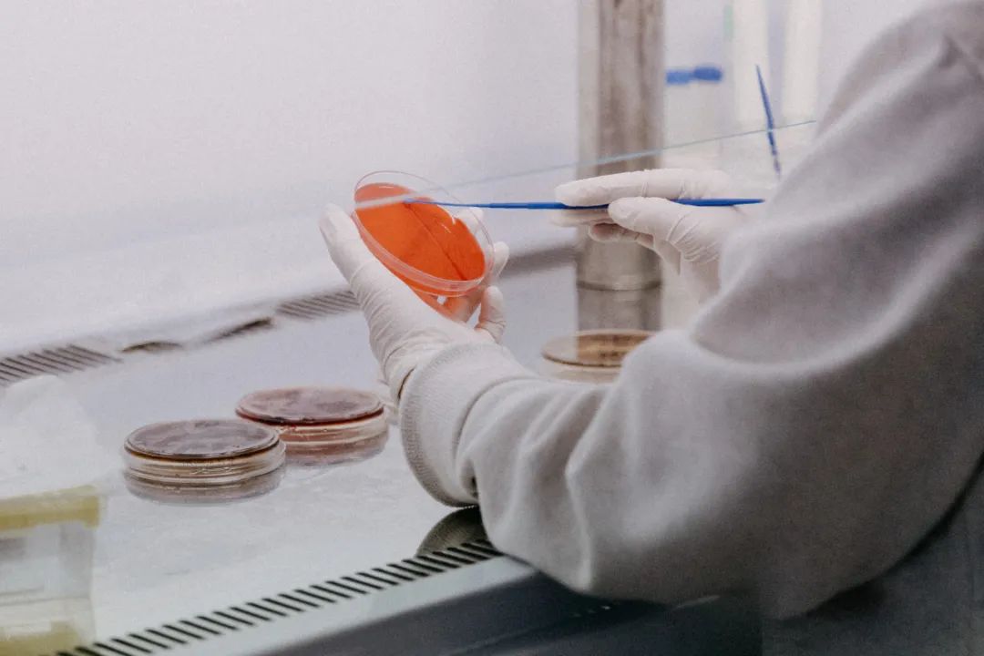 基因、蛋白质与细胞检测分析技术应用探究 | 南加州大学终身教授科研项目