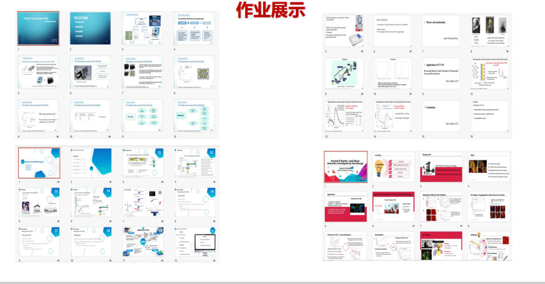 学员专访｜从科研小白到生物医学工程offer大满贯，原来医学研究不仅仅是用小白鼠！